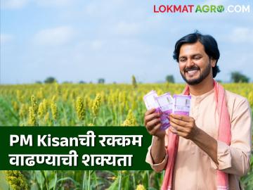 PM Kisan : शेतकऱ्यांना आता १२ हजार ऐवजी १५ हजार देण्याचा निर्णय विचाराधीन! मुख्यमंत्र्यांची माहिती - Marathi News | PM Kisan Decision to give 15,000 to farmers instead of Rs 12,000 is under consideration! Chief Minister's information | Latest agriculture News at Lokmat.com