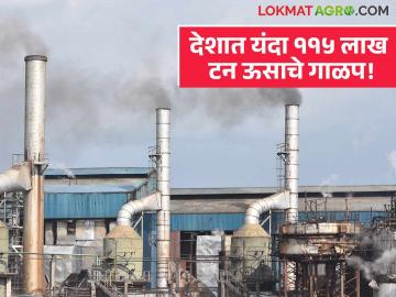 VSI : "१० हजार शेतकऱ्यांना देणार ऊसाचे छोटे हार्वेस्टर"; उत्पादन वाढीसाठी एआयचा वापर! - Marathi News | VSI: "This year's sugarcane crushing season is in full swing! Small harvesters will be provided to 10,000 farmers" | Latest agriculture News at Lokmat.com