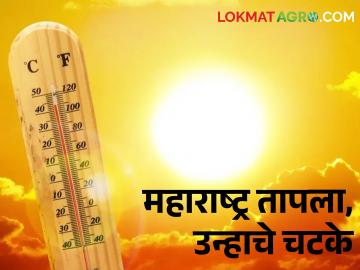 Temperature Alert: विदर्भ तापला, मराठवाडा, दक्षिण मध्य महाराष्ट्रात उन्हाचा चटका वाढला - Marathi News | Temperature Alert: Vidarbha heats up, Marathwada, South Madhya Maharashtra heat up | Latest News at Lokmat.com