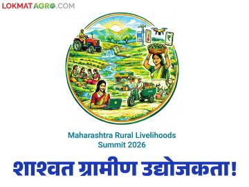 AFARM : शाश्वत ग्रामीण उद्योजकता – स्वयंसहाय्यता गटांचे सक्षमीकरण, सूक्ष्म-उद्योग आणि शेतकरी उत्पादक कंपनी यांची आर्थिक शाश्वतता  - Marathi News | AFARM: Sustainable Rural Entrepreneurship – Empowerment of Self Help Groups, Micro-Industries and Economic Sustainability of Farmer Producer Companies | Latest agriculture News at Lokmat.com