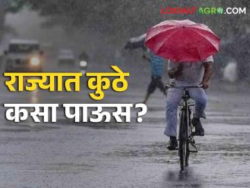Rain Maharashtra: पुढील तीन दिवस राज्यात कसे राहणार हवामान? या जिल्ह्यांत तुफान, इथे केवळ हलक्या सरी - Marathi News | Rain Maharashtra: How will the weather be in the state for the next three days? Thunderstorm in these districts, only light showers here | Latest News at Lokmat.com