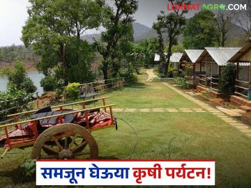Agro Tourism : कृषी पर्यटन म्हणजे नेमकं काय? सुरूवात कशी झाली आणि इतिहास काय? जाणून घ्या सविस्तर! - Marathi News | What exactly is agri tourism? How did it start and what is its history? Find out in detail! | Latest agriculture News at Lokmat.com