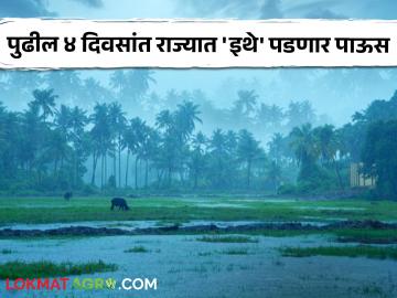 Maharashtra Rain : मान्सून परतला तरीही राज्यात ठिकठिकाणी पडतोय पाऊस! काय आहेत हवामानाचे इशारे? - Marathi News | Maharashtra Rain: Despite the return of monsoon, it is raining in many places in the state! What are weather warnings? | Latest agriculture News at Lokmat.com