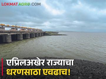 Dam Storage:एप्रिलअखेर राज्यातील धरणांमध्ये उरलंय एवढच पाणी, वाचा तुमच्या विभागातील धरणसाठा - Marathi News | At the end of April, there is only so much water left in the dams of the state, read the dam storage in your region | Latest News at Lokmat.com