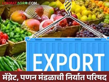 Export Conference : पुण्यात पणन आणि मॅग्नेटकडून फुले, फळे व भाजीपाला निर्यात परिषदेचे आयोजन - Marathi News | Export Conference Flowers Fruits vegetables Export Conference organized by Panan and Magnet in Pune | Latest agriculture News at Lokmat.com Export Conference : पुण्यात पणन आणि मॅग्नेटकडून फुले, फळे व भाजीपाला निर्यात परिषदेचे आयोजन - Marathi News | Export Conference Flowers Fruits vegetables Export Conference organized by Panan and Magnet in Pune | Latest agriculture News at Lokmat.com