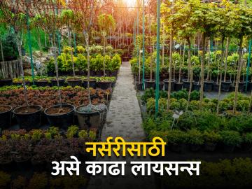 नर्सरीसाठी परवाना कसा मिळवायचा? कुठे व कसा कराल अर्ज? - Marathi News | How to get license for nursery? Where and how to apply? | Latest News at Lokmat.com