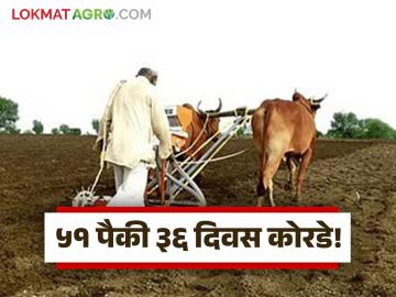 Marathawada Rain Update : मे मध्ये धुमाकूळ, जून-जुलै कोरडे; मराठवाड्यात पावसाचा मोठा खंड वाचा सविस्तर - Marathi News | latest news Marathawada Rain Update : Thunderstorms in May, dry June-July; Low volume of rain in Marathwada Read in detail | Latest News at Lokmat.com Marathawada Rain Update : मे मध्ये धुमाकूळ, जून-जुलै कोरडे; मराठवाड्यात पावसाचा मोठा खंड वाचा सविस्तर - Marathi News | latest news Marathawada Rain Update : Thunderstorms in May, dry June-July; Low volume of rain in Marathwada Read in detail | Latest News at Lokmat.com