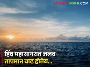 हिंद महासागराच्या तापमानवाढीमुळे होणार विनाशकारी परिणाम, संशोधनात भीती व्यक्त - Marathi News | Devastating effects of Indian Ocean warming, research fears | Latest News at Lokmat.com