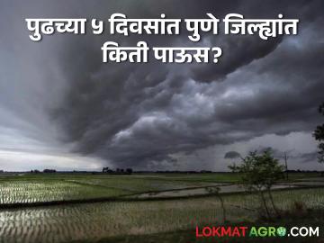 Pune Rain : पुण्यात पुढच्या ५ दिवसांत किती पडणार पाऊस? शेतकऱ्यांनी काय काळजी घ्यावी? - Marathi News | Pune Rain: How much rain will fall in Pune in the next 5 days? What should farmers be careful about? | Latest agriculture News at Lokmat.com