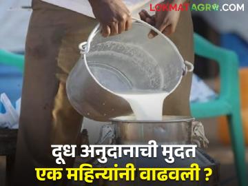 दूध अनुदानाची मुदत एक महिन्यांनी वाढवल्याची पशुसंवर्धन मंत्र्यांची घोषणा! पण शासननिर्णय नाही - Marathi News | Milk subsidy extended by one month Announcement Animal Husbandry Minister | Latest agriculture News at Lokmat.com