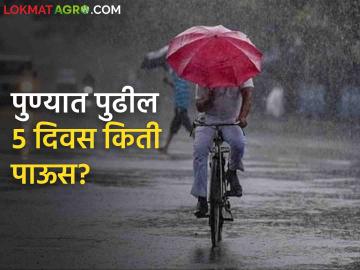 Pune Rain Updates : पुणे जिल्ह्यांत ५ दिवसांत किती पडेल पाऊस? काय आहेत हवामान विभागाचे इशारे? - Marathi News | Pune Rain Updates : How much rain will fall in Pune districts in 5 days? What are the weather department warnings? | Latest agriculture News at Lokmat.com Pune Rain Updates : पुणे जिल्ह्यांत ५ दिवसांत किती पडेल पाऊस? काय आहेत हवामान विभागाचे इशारे? - Marathi News | Pune Rain Updates : How much rain will fall in Pune districts in 5 days? What are the weather department warnings? | Latest agriculture News at Lokmat.com