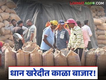 Fraud in Paddy Procurement : गडचिरोलीत धान खरेदीचा काळा बाजार! ब्लॅक लिस्टेड मिलमध्येच थाटले खरेदी केंद्र - Marathi News | Fraud in Paddy Procurement: Black market for paddy procurement in Gadchiroli! Procurement center set up in black listed mill | Latest agriculture News at Lokmat.com Fraud in Paddy Procurement : गडचिरोलीत धान खरेदीचा काळा बाजार! ब्लॅक लिस्टेड मिलमध्येच थाटले खरेदी केंद्र - Marathi News | Fraud in Paddy Procurement: Black market for paddy procurement in Gadchiroli! Procurement center set up in black listed mill | Latest agriculture News at Lokmat.com