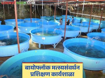 Biofloc Fish Farming : बायोफ्लॉक मत्स्यसंवर्धनाबाबत दोन दिवसीय प्रशिक्षण कार्यशाळेचे आयोजन - Marathi News | Biofloc Fish Farming : Conducted two days training workshop on Biofloc Fish Farming | Latest agriculture News at Lokmat.com