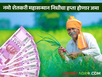 PM Kisan Yojana : 'नमो शेतकरी महासन्मान निधी'चा चौथा हप्ता मिळणार! राज्याकडून निधी वितरणास मंजुरी - Marathi News | PM Kisan Yojana fourth installment of 'Namo Shetkari Mahasanman Nidhi' will be received! Approval of disbursement of funds by the State | Latest agriculture News at Lokmat.com PM Kisan Yojana : 'नमो शेतकरी महासन्मान निधी'चा चौथा हप्ता मिळणार! राज्याकडून निधी वितरणास मंजुरी - Marathi News | PM Kisan Yojana fourth installment of 'Namo Shetkari Mahasanman Nidhi' will be received! Approval of disbursement of funds by the State | Latest agriculture News at Lokmat.com