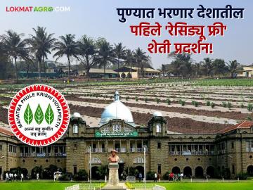 Residue Free Farming Exibition : पुण्यात पहिल्यांदाच भरतंय भारतातील पहिलं 'रासायनिक अवशेषमुक्त शाश्वत शेती प्रदर्शन'! - Marathi News | Residue Free Farming Exhibition: India's first 'Chemical Residue Free Sustainable Farming Exhibition' is being held in Pune for the first time! | Latest agriculture News at Lokmat.com Residue Free Farming Exibition : पुण्यात पहिल्यांदाच भरतंय भारतातील पहिलं 'रासायनिक अवशेषमुक्त शाश्वत शेती प्रदर्शन'! - Marathi News | Residue Free Farming Exhibition: India's first 'Chemical Residue Free Sustainable Farming Exhibition' is being held in Pune for the first time! | Latest agriculture News at Lokmat.com