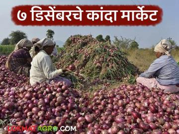 Kanda Bajar Bhav : पुणे जिल्ह्यातील कांदा मार्केटमध्ये सरासरी काय दर मिळतोय, वाचा सविस्तर - Marathi News | Latest News kanda Market average price being paid in onion market in Pune district, read in detail | Latest News at Lokmat.com Kanda Bajar Bhav : पुणे जिल्ह्यातील कांदा मार्केटमध्ये सरासरी काय दर मिळतोय, वाचा सविस्तर - Marathi News | Latest News kanda Market average price being paid in onion market in Pune district, read in detail | Latest News at Lokmat.com