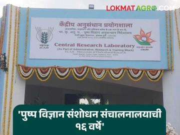 ICAR–DFR : ICARच्या पुष्प विज्ञान संशोधन संचालनालयाचा वर्धापन दिन! कार्यशाळा, चर्चासत्रांचे आयोजन - Marathi News | ICAR–DFR Anniversary of ICAR's Directorate of Floral Research! Workshops, seminars organized | Latest agriculture News at Lokmat.com ICAR–DFR : ICARच्या पुष्प विज्ञान संशोधन संचालनालयाचा वर्धापन दिन! कार्यशाळा, चर्चासत्रांचे आयोजन - Marathi News | ICAR–DFR Anniversary of ICAR's Directorate of Floral Research! Workshops, seminars organized | Latest agriculture News at Lokmat.com