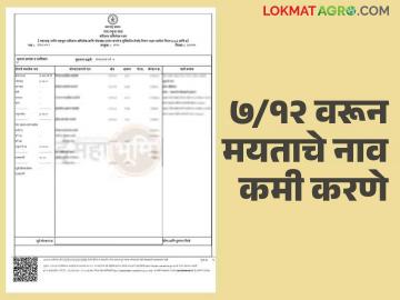 सातबारावरून मयत खातेदाराचे नाव कमी करण्यासाठी कसा कराल अर्ज? वाचा सविस्तर - Marathi News | How to apply to remove the name of a dead person from the satbara? Read in detail | Latest News at Lokmat.com सातबारावरून मयत खातेदाराचे नाव कमी करण्यासाठी कसा कराल अर्ज? वाचा सविस्तर - Marathi News | How to apply to remove the name of a dead person from the satbara? Read in detail | Latest News at Lokmat.com