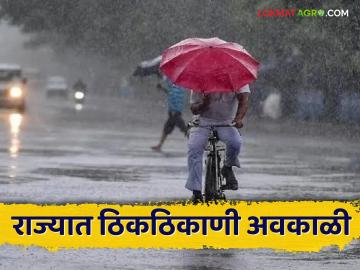 Rain Updates : राज्यभरातील विविध ठिकाणी भर उन्हाळ्यात पावसाची हजेरी - Marathi News | Rain Updates: Rainfall during summer at various places across the state | Latest agriculture News at Lokmat.com