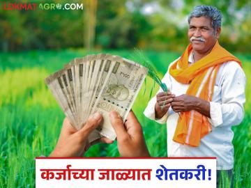 KCC Loan : किसान क्रेडिट कार्डमधील कर्जाच्या विळख्यात अडकले शेतकरी! एनपीएमध्ये ४२% वाढ - Marathi News | KCC Loan Farmers trapped in Kisan Credit Card loan 42% increase in NPA | Latest agriculture News at Lokmat.com