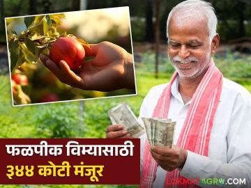 Crop Insurance : फळपीक विमा योजनेसाठी ३४४ कोटी मंजूर! पण केवळ 'या' शेतकऱ्यांना मिळणार लाभ - Marathi News | Horticulture Crop Insurance Scheme Latest Updates 344 crore approved farmers will get benefit | Latest agriculture News at Lokmat.com