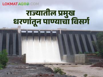 Maharashtra Dam : राज्यातील धोधो पावसाने धरणांच्या पाठीसाठ्यात वाढ! प्रमुख धरणांतून विसर्ग - Marathi News | Maharashtra Dam: Increase in the back-up of dams due to heavy rains in the state! Discharge from major dams | Latest agriculture News at Lokmat.com Maharashtra Dam : राज्यातील धोधो पावसाने धरणांच्या पाठीसाठ्यात वाढ! प्रमुख धरणांतून विसर्ग - Marathi News | Maharashtra Dam: Increase in the back-up of dams due to heavy rains in the state! Discharge from major dams | Latest agriculture News at Lokmat.com