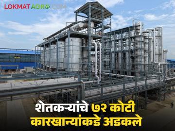 Sugarcane : गाळप हंगाम तोंडावर आला तरी मागच्या हंगामातील ७२ कोटी कारखान्यांकडे थकीत! - Marathi News | Sugarcane: Even though the harvest season is approaching, 72 crores of the previous season are due to the factories! | Latest agriculture News at Lokmat.com