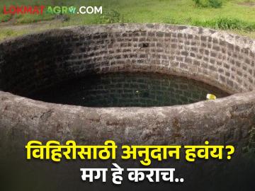 विहिरीसाठी अनुदान हवंय? मग हॉर्टी ॲपवर नोंदणी करा, काय आहेत निकष? - Marathi News | Want a grant for a well? Then register on Hurti app, what are the criteria? | Latest News at Lokmat.com विहिरीसाठी अनुदान हवंय? मग हॉर्टी ॲपवर नोंदणी करा, काय आहेत निकष? - Marathi News | Want a grant for a well? Then register on Hurti app, what are the criteria? | Latest News at Lokmat.com