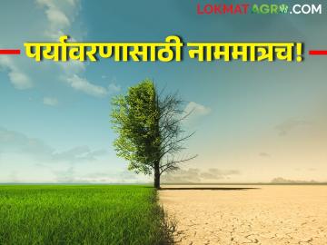 Budget 2024: पर्यावरणासाठी यंदाच्या बजेटमध्ये काय तरतूदी? - Marathi News | Budget 2024: What provisions in this year's budget for the environment? | Latest News at Lokmat.com