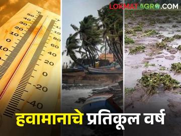 Climate change: वर्षातील ३६५ दिवसांपैकी ३१८ दिवसात भारताने केला तीव्र हवामानाच्या घटनांचा सामना - Marathi News | Climate change: India experiences extreme weather events on 318 days out of 365 days of the year | Latest News at Lokmat.com