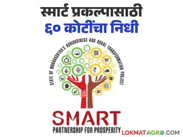 Smart Project : स्मार्ट प्रकल्पासाठी सरकारने केला ६० कोटींची निधी वितरित! निवडणुकीच्या तोंडावर निर्णय - Marathi News | Smart Project: Government has distributed funds of 60 crores for smart project! A decision in the run-up to the election | Latest agriculture News at Lokmat.com