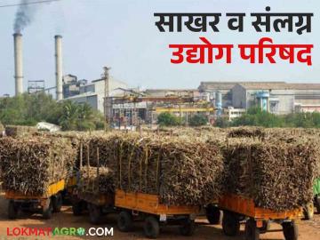 Sugar Factory : साखर व संलग्न उद्योगांची पुण्यात होतेय परिषद - Marathi News | agriculture college pune Contribution of sugar and circular industries to circular economy and eco-friendly sustainability conference organized in Pune | Latest agriculture News at Lokmat.com Sugar Factory : साखर व संलग्न उद्योगांची पुण्यात होतेय परिषद - Marathi News | agriculture college pune Contribution of sugar and circular industries to circular economy and eco-friendly sustainability conference organized in Pune | Latest agriculture News at Lokmat.com
