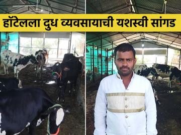 हॉटेलला जोडधंदा म्हणून दुध व्यवसायाची सांगड, महिन्याकाठी होतेय १ लाखाची उलाढाल - Marathi News | Milk business as a side business to the hotel, turnover of 1 lakh per month | Latest News at Lokmat.com