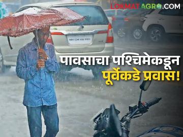 Weather Updates : राज्यातील पावसाचा जोर झाला कमी! पूर्वेकडील जिल्ह्यांत पावसाची शक्यता - Marathi News | Weather Updates: The intensity of rain in the state has reduced! Chance of rain in eastern districts | Latest agriculture News at Lokmat.com