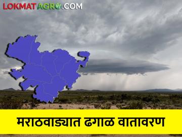 मराठवाड्यात पुढील पाच दिवस ढगाळ, कोरड्या हवामानाची शक्यता - Marathi News | Cloudy, dry weather expected in Marathwada for the next five days | Latest News at Lokmat.com