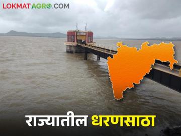 Maharashtra Dam Water: राज्यातील लहान,मोठ्या धरणात उरलंय आता एवढंच पाणी, जाणून घ्या विभागनिहाय धरणसाठा - Marathi News | Maharashtra Dam Water: There is only so much water left in the small and big dams of the state, know the dam storage in your region | Latest News at Lokmat.com