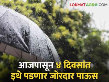 Maharashtra Rain Updates: येणाऱ्या चार दिवसांत राज्यातील 'या' भागांत पडणार मुसळधार पाऊस - Marathi News | Maharashtra Rain Updates Heavy rain will fall in these parts of the state in the next four days | Latest agriculture News at Lokmat.com