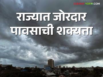 Maharashtra weather update:बहुतांश राज्यात आज वादळी वाऱ्यांसह मुसळधार, 32 जिल्ह्यांना यलो अलर्ट  - Marathi News | Maharashtra weather update: Gusty with stormy winds in most of the state today, yellow alert for 32 districts  | Latest News at Lokmat.com