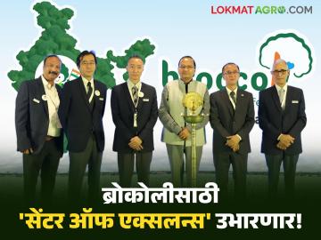 Broccoli : ब्रोकोलीसाठी भारतात 'सेंटर ऑफ एक्सलन्स' उभारणार असल्याची केंद्रीय कृषी आयुक्तांची माहिती - Marathi News | Broccoli: Central Agriculture Commissioner informs that a 'Center of Excellence' will be set up in India for broccoli | Latest agriculture News at Lokmat.com