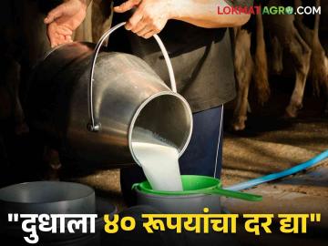 Milk Subsidy : दुधाला ५ रुपयांचेच अनुदान मिळणार; सरकार ठाम! - Marathi News | Milk rate maharashtra Protest akole ahmednagar price movement flared up government | Latest agriculture News at Lokmat.com