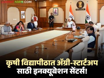 Agri Startup : राज्यातील कृषी विद्यापीठात ५० ॲग्री-बेस्ड इनक्यूबेशन सेंटर्स स्थापन करण्याच्या सूचना! - Marathi News | Agri Startup Instructions to set up 50 agri-based incubation centers in agricultural universities in the state! | Latest farming-ideas News at Lokmat.com