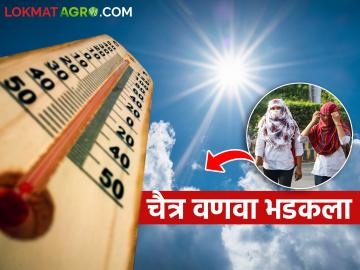 चैत्री वणवा भडकला, तापमानवाढ होऊन वळवाचा पाऊस होण्याची पंचागकर्त्यांची शक्यता - Marathi News | Chaitri wildfire has flared up, forecasters predict the possibility of torrential rain due to increase in temperature | Latest News at Lokmat.com