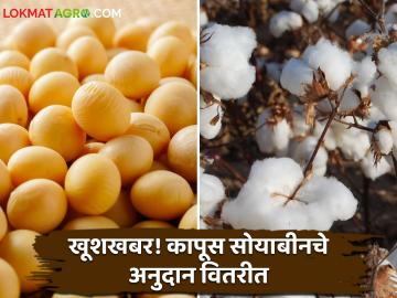 Subsidy : खूशखबर! ४९ लाख शेतकऱ्यांच्या खात्यात एका क्लिकवर २३९८ कोटींचे अनुदान वितरित - Marathi News | Subsidy Good news 2398 crore subsidy distributed in the account of 49 lakh farmers with one click | Latest agriculture News at Lokmat.com Subsidy : खूशखबर! ४९ लाख शेतकऱ्यांच्या खात्यात एका क्लिकवर २३९८ कोटींचे अनुदान वितरित - Marathi News | Subsidy Good news 2398 crore subsidy distributed in the account of 49 lakh farmers with one click | Latest agriculture News at Lokmat.com