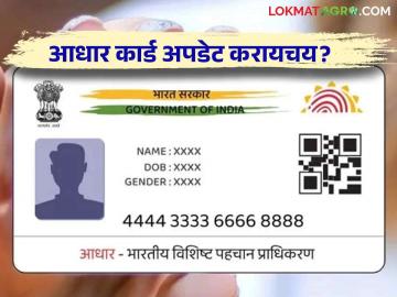 Aadhar Card Update : तुमच्या आधार कार्डवरील ही माहिती आता घरबसल्या करता येईल मोबाईलवरून अपडेट - Marathi News | This information on your Aadhaar card can now be updated from your mobile at home | Latest News at Lokmat.com