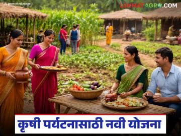 महिलांना कृषी पर्यटन व्यवसाय सुरु करण्यासाठी पर्यटन विभागाची नवी योजना; मिळतंय १५ लाखांचे कर्ज