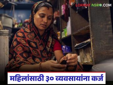 महिलांसाठी सुवर्णसंधी, 15 लाखांचं कर्ज मिळतंय, 30 पैकी कोणताही एक व्यवसाय करा, इथे करा अर्ज