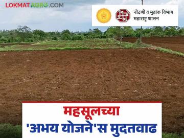वर्ग-२ च्या जमिनी वर्ग-१ मध्ये रुपांतरणाच्या अभय योजनेस तब्बल वर्षभराची मुदतवाढ - Marathi News | Abhay Yojana for converting Class-2 lands to Class-1 gets a one year extension | Latest News at Lokmat.com