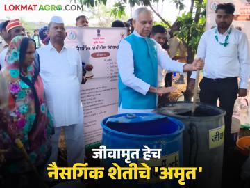 Governer Acharya Devvrat : राज्यपाल आचार्य देवव्रत यांनी स्वतः जीवामृत प्रात्यक्षिक करून दाखवले! - Marathi News | Latest News Agriculture News Governor Acharya Devvrat himself demonstrated the Jeevamrut in Dindori | Latest News at Lokmat.com
