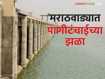 Marathwada Dam Storage: मराठवाडा पाणीटंचाईच्या झळांनी हैराण, धरणसाठ्यात केवळ एवढे पाणी शिल्लक - Marathi News | Marathwada Dam Storage: Marathwada shocked by water shortage, only so much water left in dam storage | Latest News at Lokmat.com