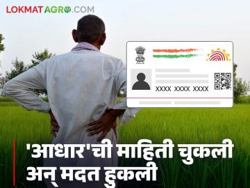 Aadhar Card Information: 'आधार'ची माहिती चुकली अन् मदत हुकली, काय आहे प्रकरण? वाचा सविस्तर - Marathi News | Aadhar Card Information: latest news 'Aadhar' card information is wrong and help is missing, what is the matter? Read in detail | Latest News at Lokmat.com